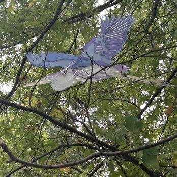 Cincinnati Nature Center - Blue Heron. - Hiking Near Me - Milford, Ohio Cincinnati Nature Center - Blue Heron. - Hiking Near Me - Milford, Ohio