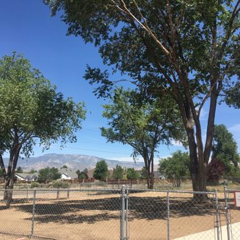 Battle Born Tree Service - Front yard trimmed up and beautified - Tree Services Near Me - Carson City, Nevada
