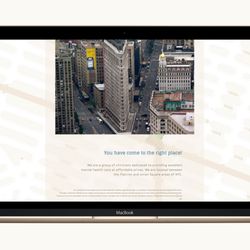 Bigger Creative Agency - Allied Psychotherapy Group website creation: APG-NYC.com