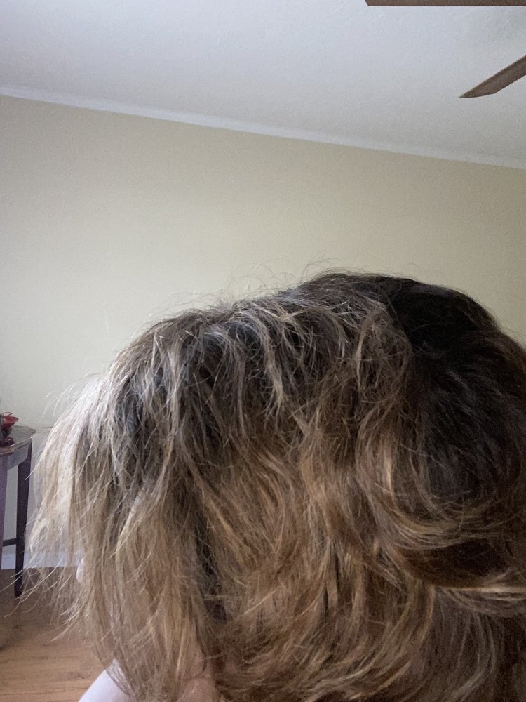 WILD ROOTS SALON Updated October 2024 57 Photos & 15 Reviews 1022 3rd Ave Dr NW, Hickory