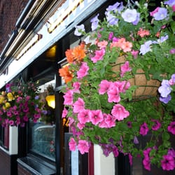 The Haven Arms