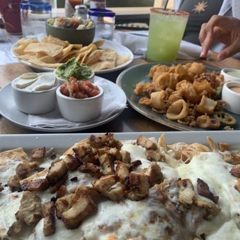 Margaritaville - Chicken nachos, calamari, ceviche and chips - Seafood Near Me - Capitola, California Margaritaville - Chicken nachos, calamari, ceviche and chips - Seafood Near Me - Capitola, California