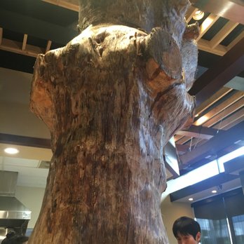 Ramen Tatsunoya - Ramen Near Me - Pasadena, California Ramen Tatsunoya - Ramen Near Me - Pasadena, California