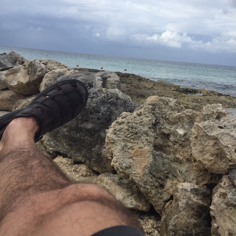Sky Reef - View from a lounger - Mexican Near Me - Cozumel, ROO
