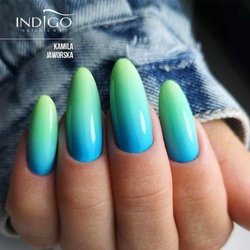 Vip Nail - Reference photo (what i wanted)
