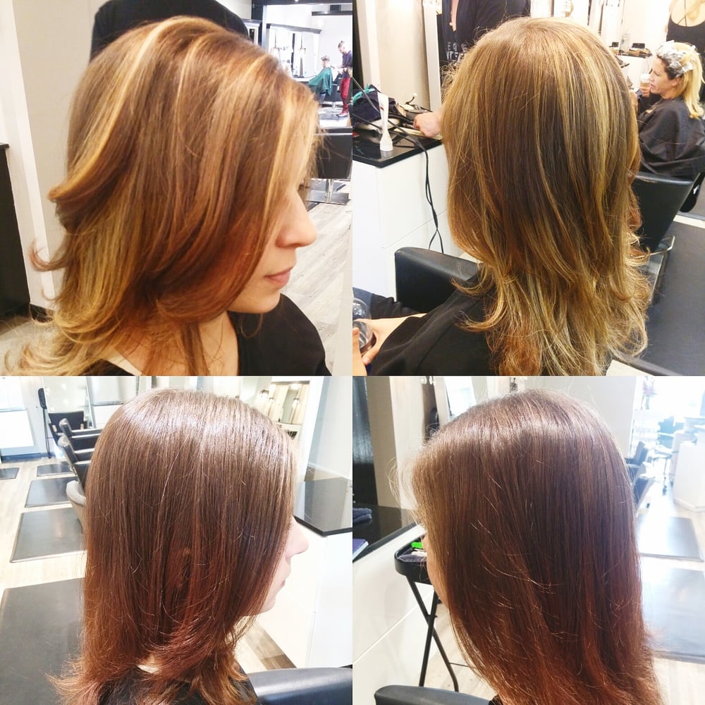 Sydney Webster- Stem Salon Logo