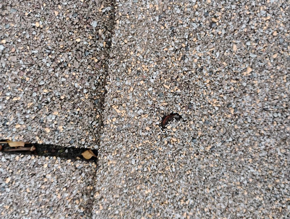 Slide of Northeast Home Services