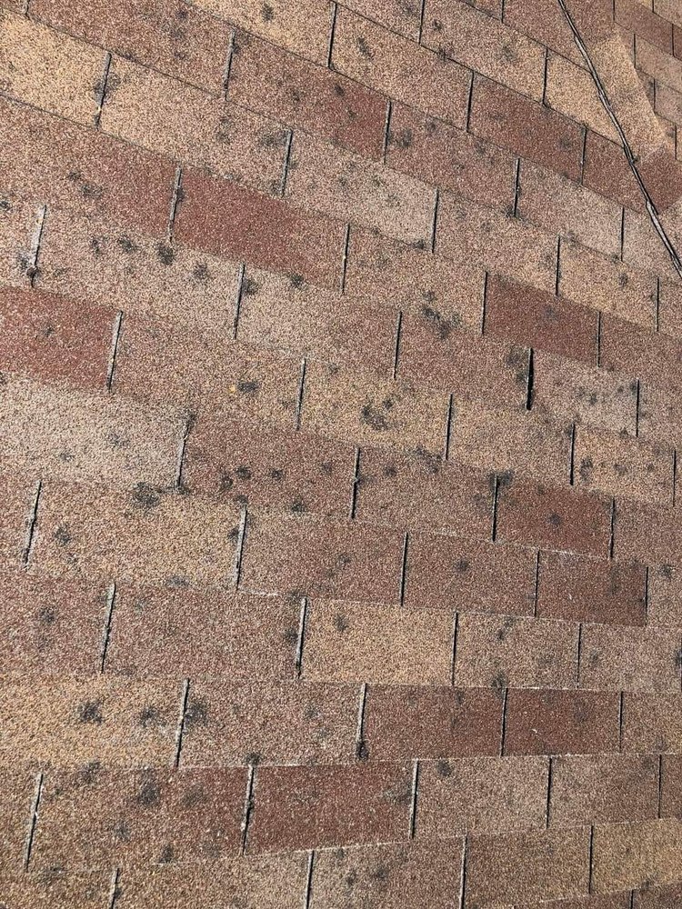 Slide of M4 Roofing & Construction