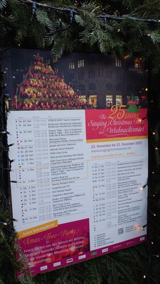 Singing Christmas Tree by null