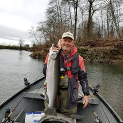 Wilson river Steelhead