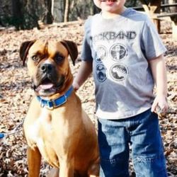 Upstate Dog Academy - Rudy Boy and his 3 year old playmate.