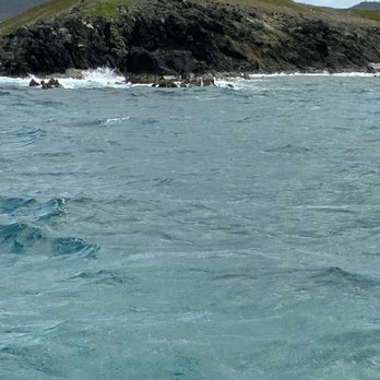 Big Beard's Adventure Tours - Boating Near Me - St Croix, Virgin Islands Big Beard's Adventure Tours - Boating Near Me - St Croix, Virgin Islands