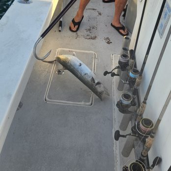 Captain Bill Fehl Fishing Charters - Fishing Near Me Captain Bill Fehl Fishing Charters - Fishing Near Me