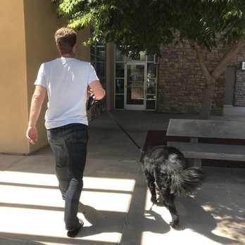 American Grooming Services - Pet Groomers Near Me - Temecula, California