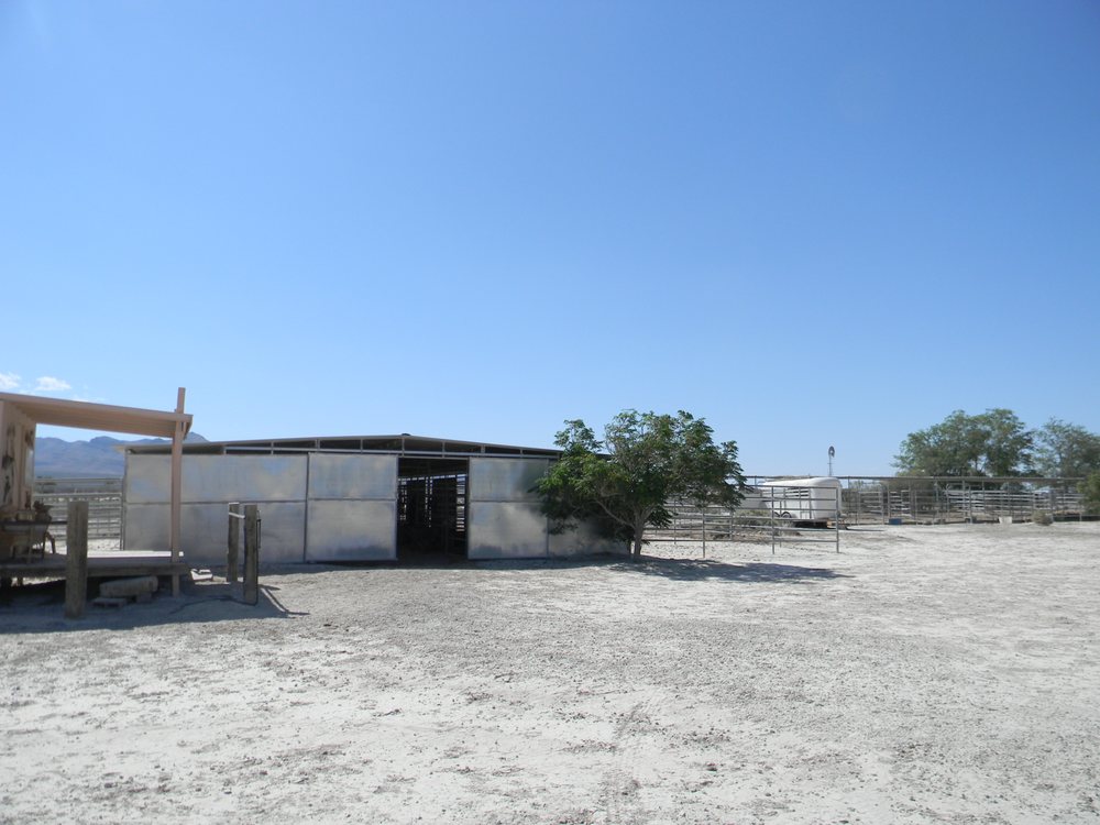 Bighorn Ranch Horse Boarding - equestrian in Las Vegas, NV