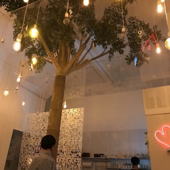 Doma - Yes, that's a real tree! - Japanese Near Me - San Francisco, California