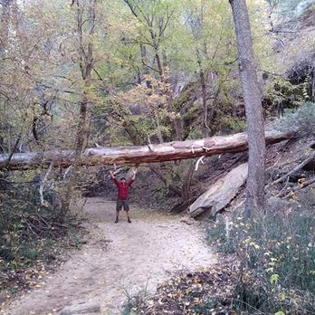 West Fork Trail - My husband and I at the West Fork Trail - Hiking Near Me - Sedona, Arizona