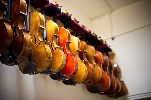 GREGORY SINGER FINE VIOLINS - Updated June 2026 - 13 Photos - 246 W ...