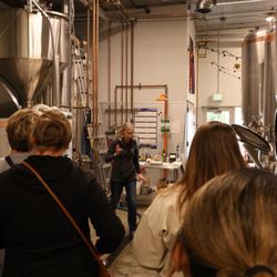 It's Neat to Be Elite: May Beer Tasting with Cynosure Brewing