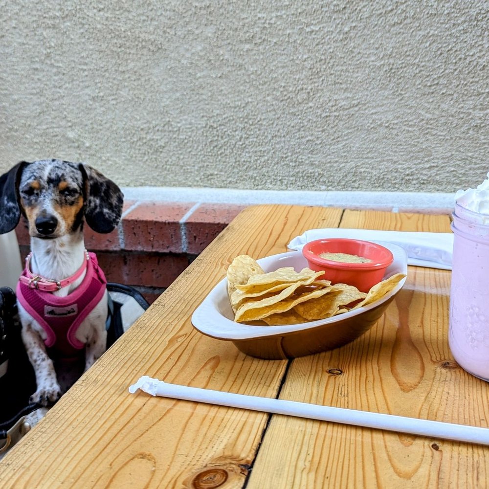 Rutabegorz - Dog friendly patio - Bars Near Me - Fullerton, California Rutabegorz - Dog friendly patio - Bars Near Me - Fullerton, California