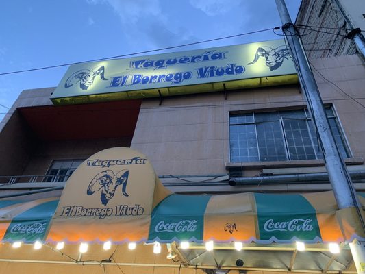 El Borrego Viudo by null