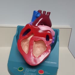 Heart Center of Orange County - Heart!
