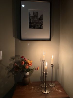 Forsythia NYC by null