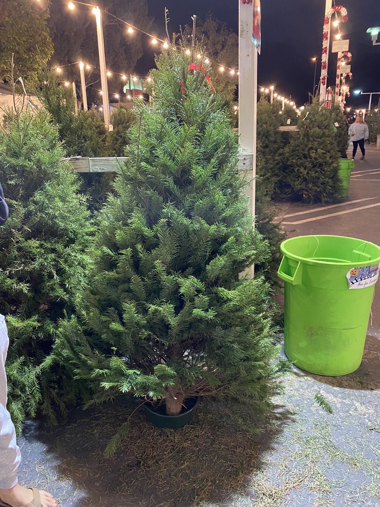 PINERY CHRISTMAS TREES 25 Photos & 27 Reviews 1640 Camino Del Rio N