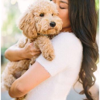 Bow Wow Meow - Menlo Park - Pet Groomers Near Me - Menlo Park, California Bow Wow Meow - Menlo Park - Pet Groomers Near Me - Menlo Park, California