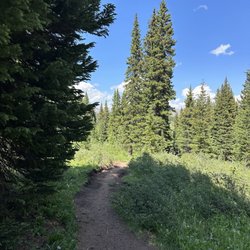 Shrine Mountain Trail