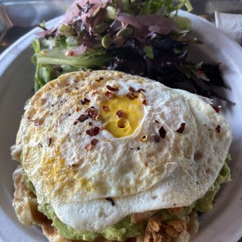 Graze 1910 - Basic avocado toast tartine on a croissant waffle with the egg well done and braised chicken. - Breakfast & Brunch Near Me - Tampa, Florida Graze 1910 - Basic avocado toast tartine on a croissant waffle with the egg well done and braised chicken. - Breakfast & Brunch Near Me - Tampa, Florida