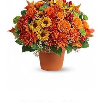 Morrison's Flowers & Gifts - From Morrison's website - Florists Near Me - Williamsburg, Virginia Morrison's Flowers & Gifts - From Morrison's website - Florists Near Me - Williamsburg, Virginia
