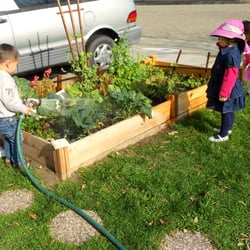 Hummingbird Montessori Preschool - Vegetable garden