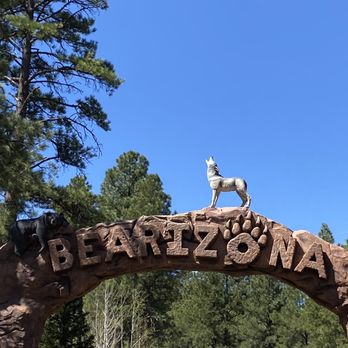 Bearizona - Zoos Near Me - Williams, Arizona Bearizona - Zoos Near Me - Williams, Arizona