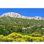 Photo of Crinières au vent
