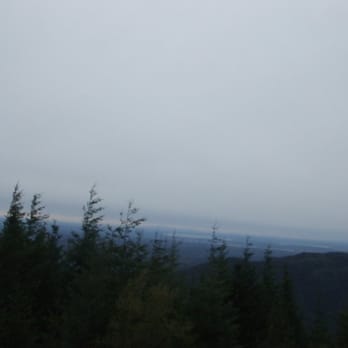 Tiger Mountain State Forest - Parks Near Me - Snoqualmie, Washington