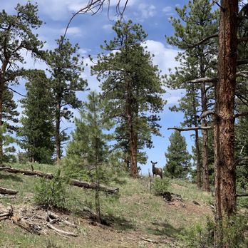 Mount Falcon Park - Hello dear - Parks Near Me - Morrison, Colorado