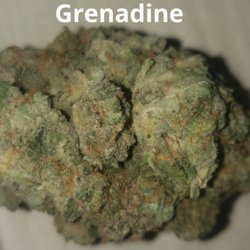 FRX Dispensary