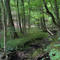 James H Floyd State Park