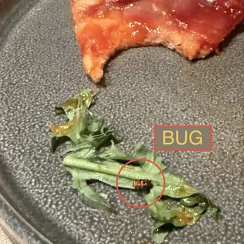 North Italia - Bug on our Hot Honey & Smoked Prosciutto - Pizza Near Me - Irvine, California North Italia - Bug on our Hot Honey & Smoked Prosciutto - Pizza Near Me - Irvine, California