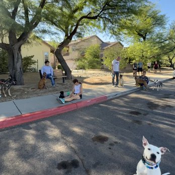 Kristen’s K9 Services - Pet Training Near Me Kristen’s K9 Services - Pet Training Near Me