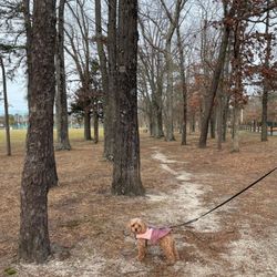 Johnson Park