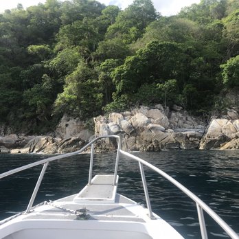 Twin Dolphins - Snorkeling Near Me - Puerto Vallarta, JAL