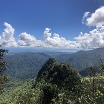 El Yunque Rainforest - Hiking Near Me - Luquillo, Puerto Rico