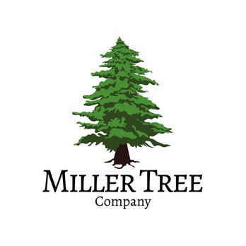 Miller Tree Company - Tree Services Near Me Miller Tree Company - Tree Services Near Me