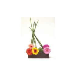 Flower Hunt - Flower Hunt