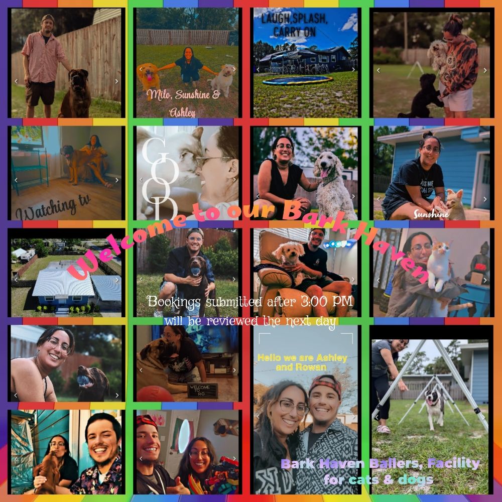 Bark Haven Ballers In Home Boarding - pet boarding facility in Eustis, FL