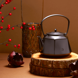 Taku Ironware