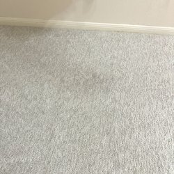 ProSource of Fort Worth - Damaged/Stained Carpet, still visible upon installation.