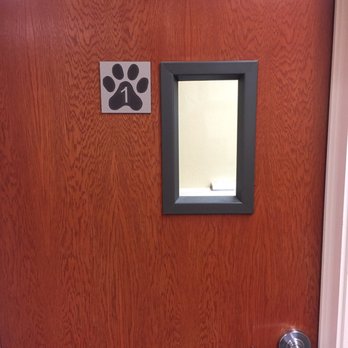 SAGE Veterinary Centers - Concord - One of five or six exam rooms - Veterinarians Near Me - Concord, California